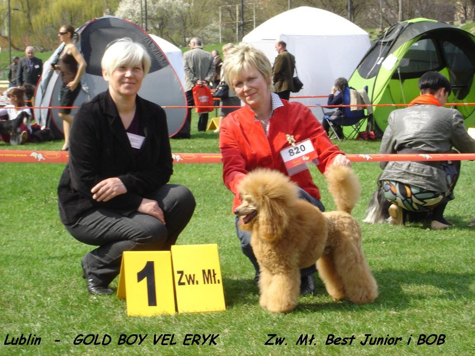MWPR Lublin 2012