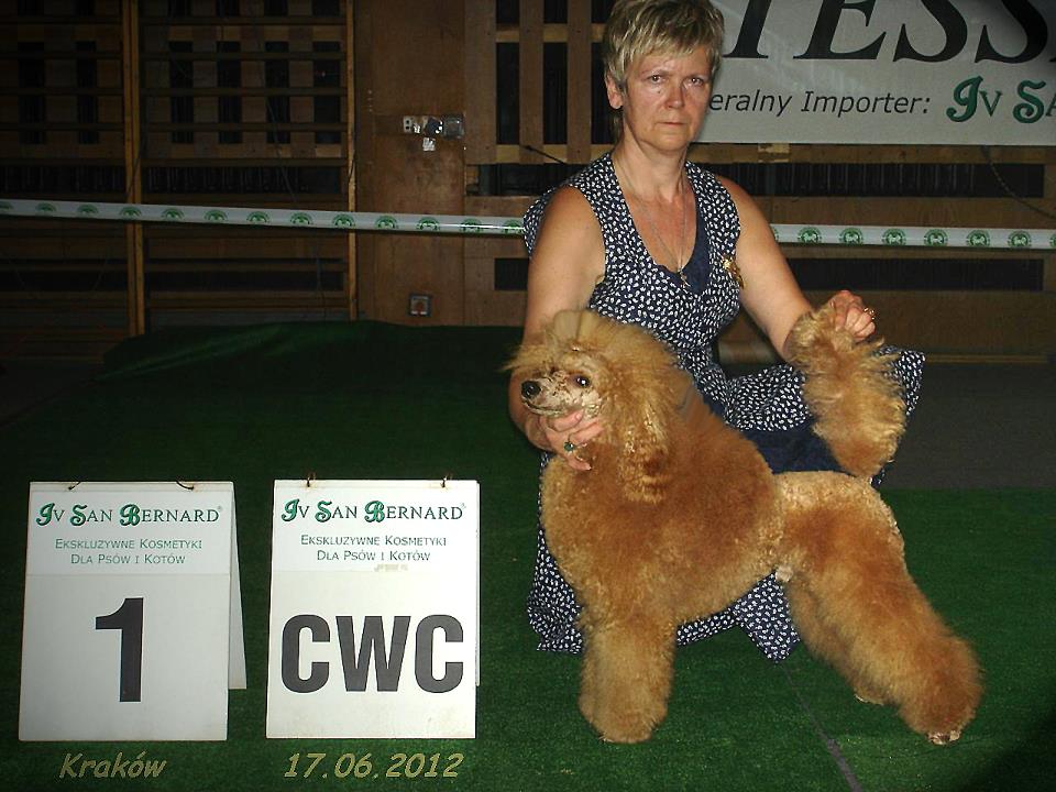 MWPR Kraków 2012