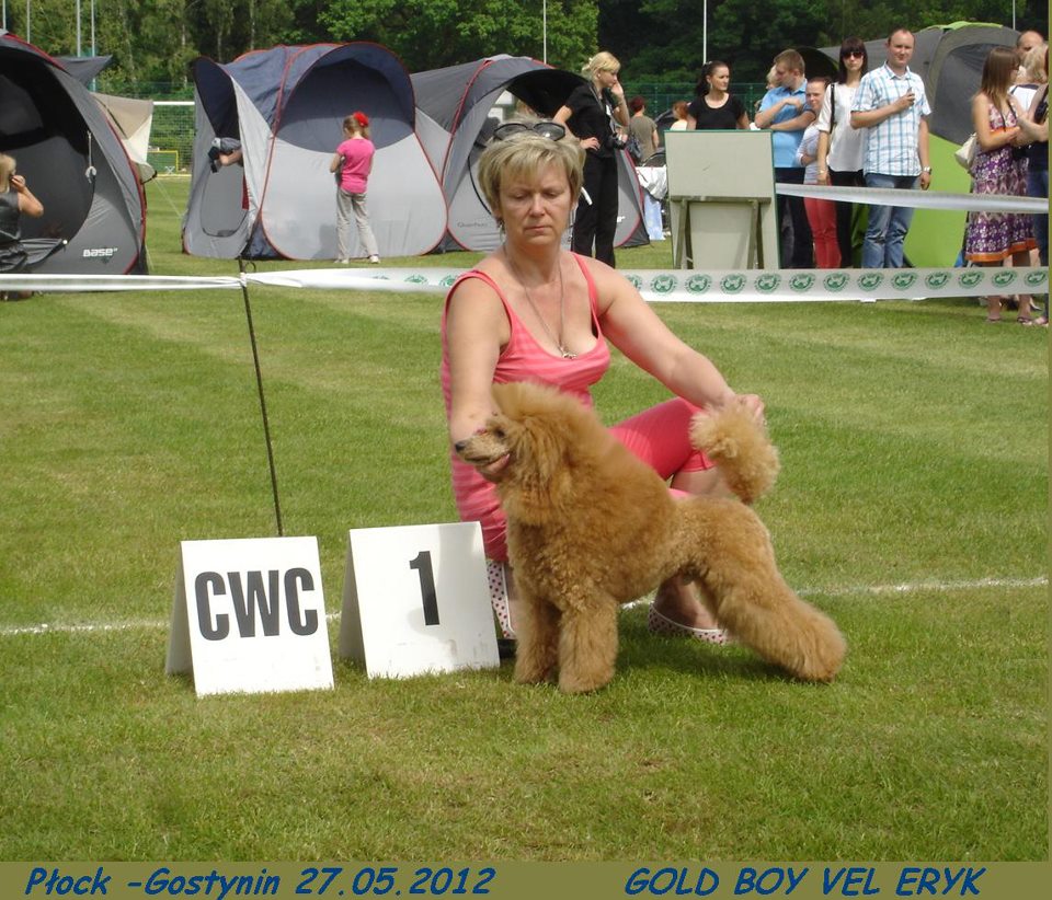 KWPR Płock -Gostynin 2012