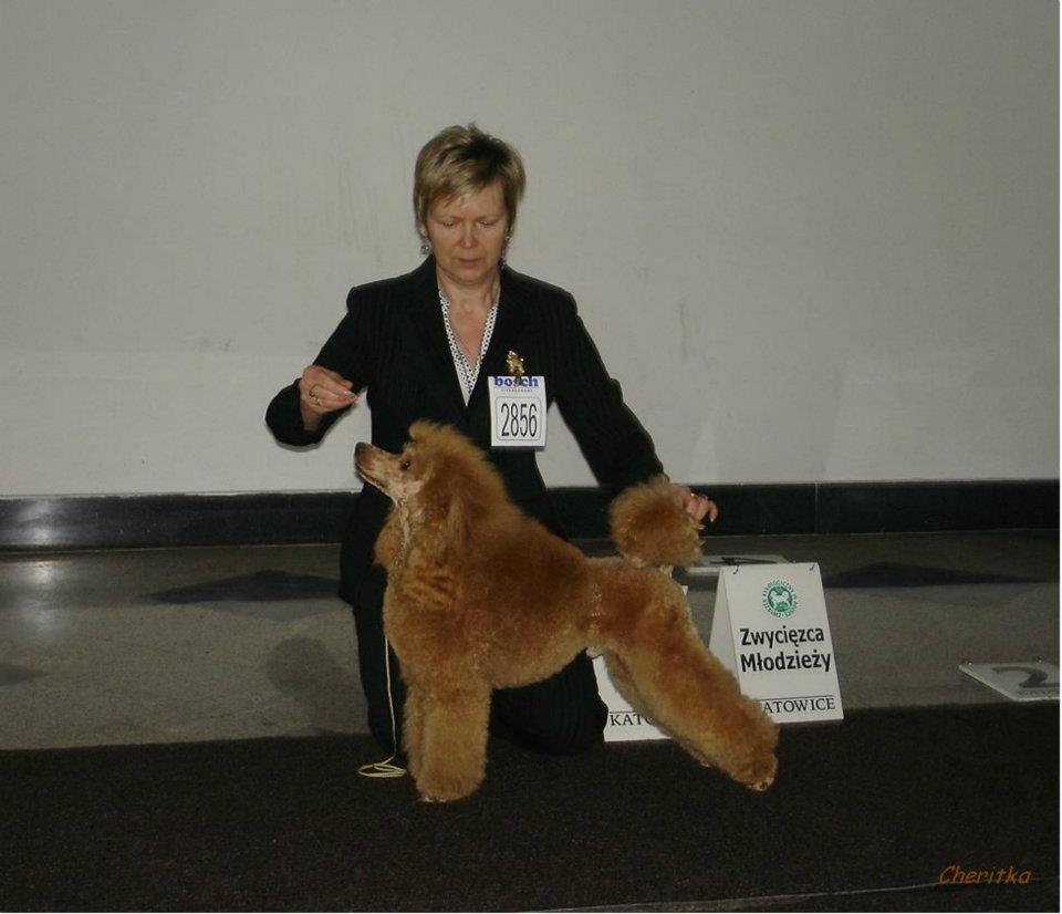 CACIB Katowice 2012