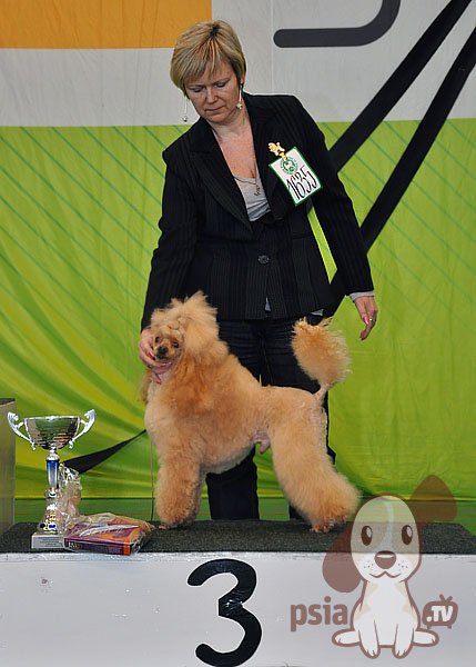 Legionowo 2010