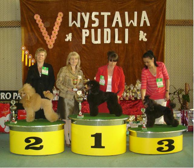 Wystawa Pudli 2009